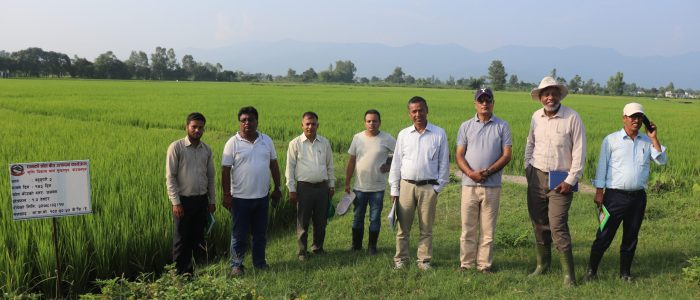 बहुगुणी २