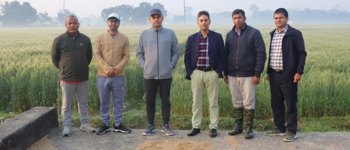 विभागिय प्रमुख ज्यु बाट गहु बीउ उतपादनको अनुगमन